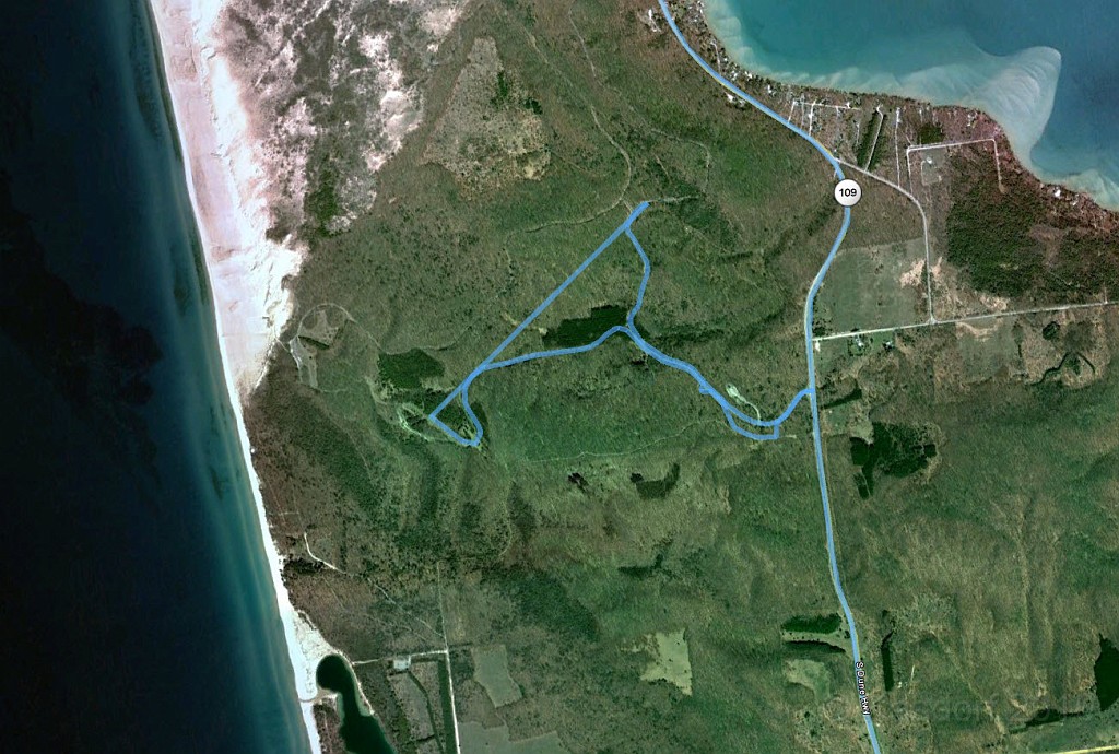 Michigan TC 2010-07 0586.jpg - The Pierce Stocking Scenic Drive